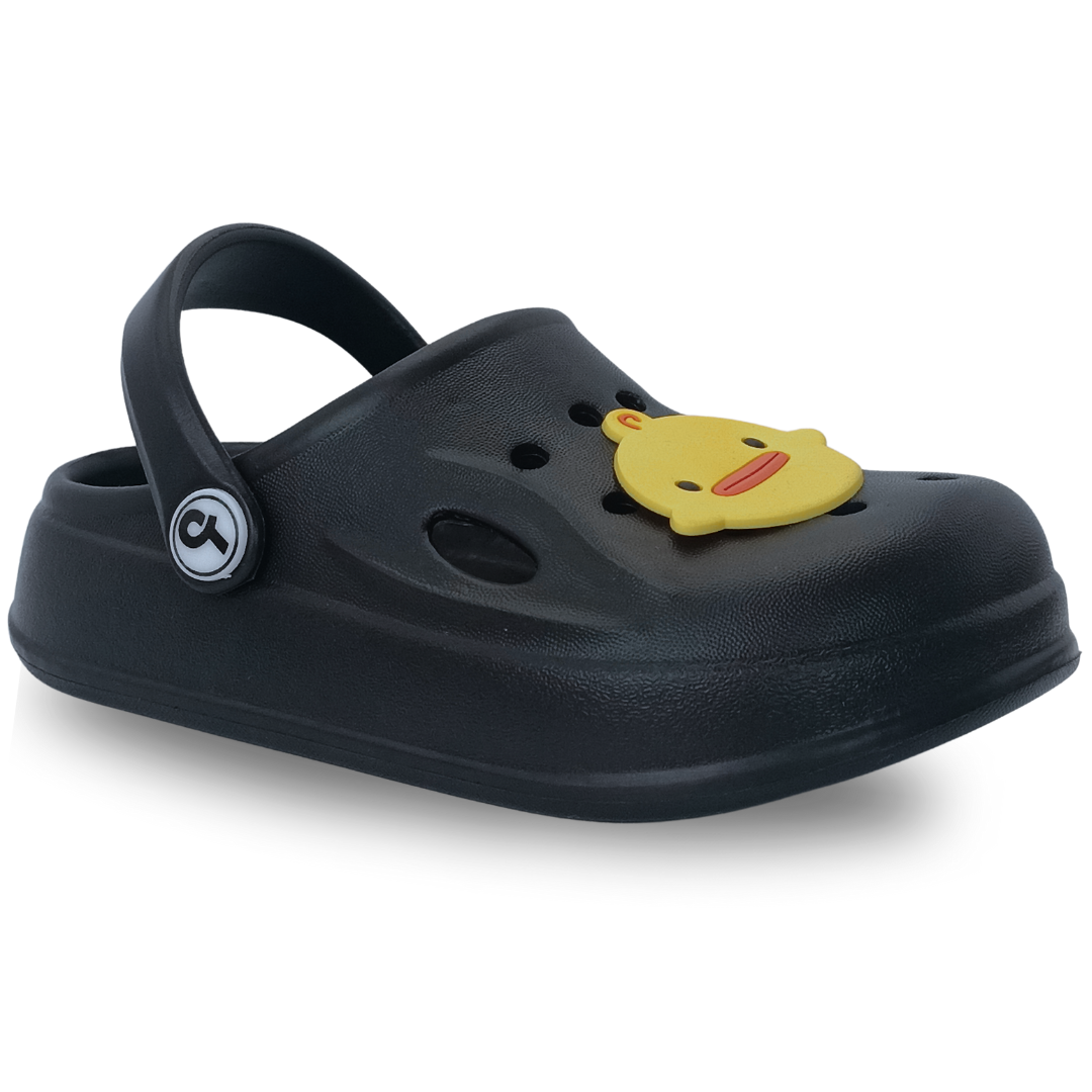 BlackDuck – Image 2